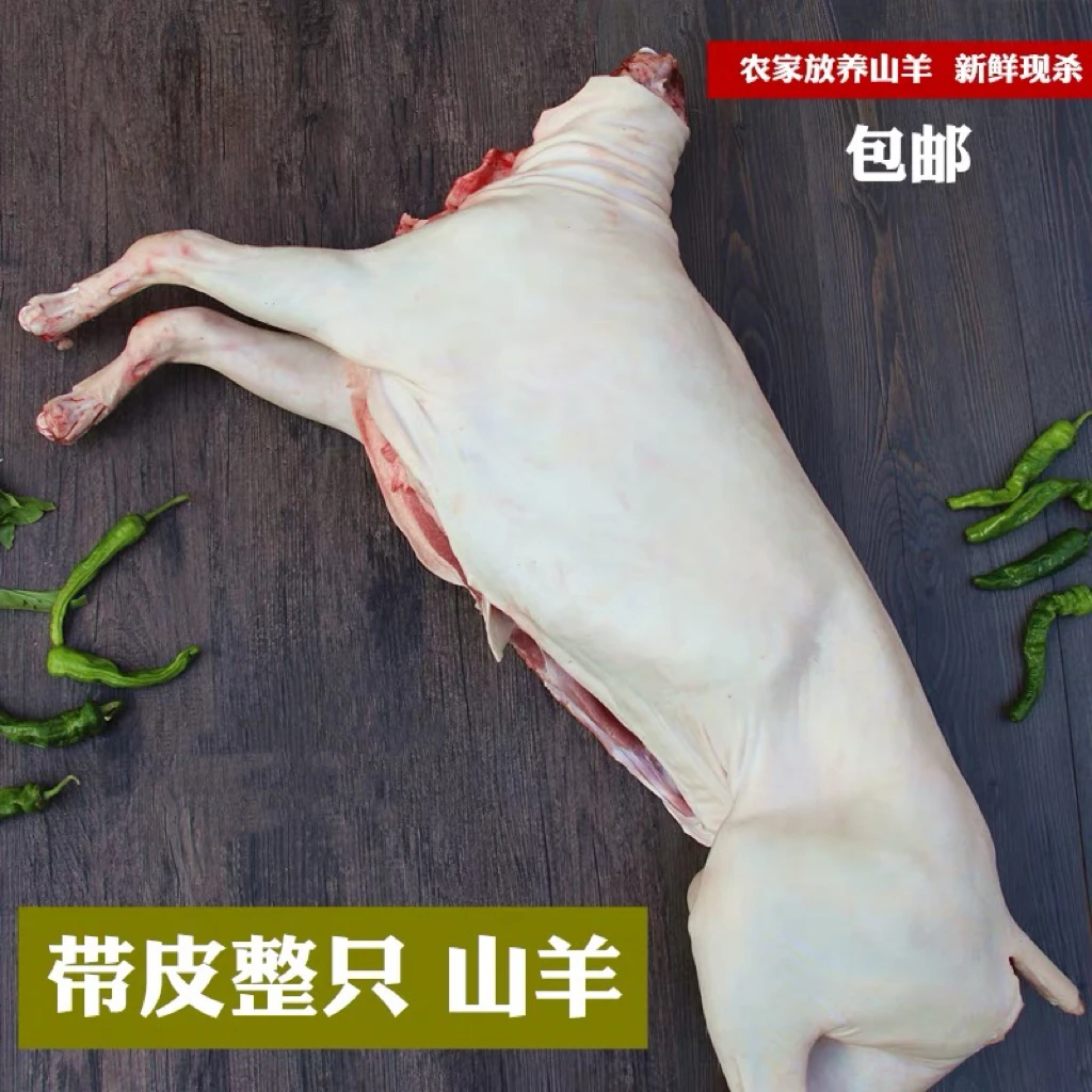 【带皮整羊发货】整只羊内蒙溜达羊烤全羊草原散养山羊烤全羊
