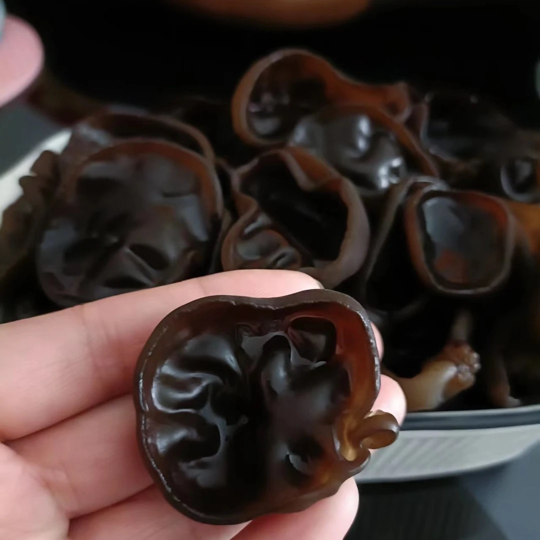 2025黄松甸肉厚无根大筋黑木耳250/500克