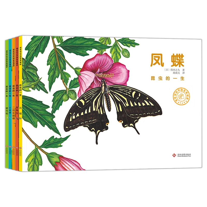 微瑕-昆虫的一生