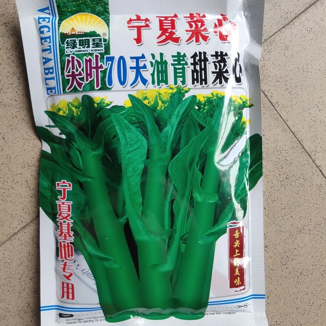 400克绿明星宁夏菜心尖叶70天油青甜菜心种子宁夏基地大田专用