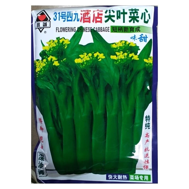 400克实诚31号四九酒店尖叶菜心种子深油青甜菜心种子蔬菜种子