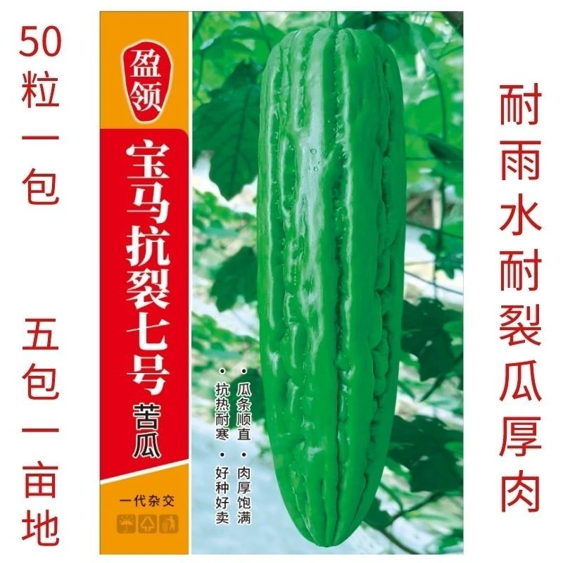 50粒盈领精选宝马抗裂7号黄籽油绿苦瓜种特耐雨水不易裂果大条