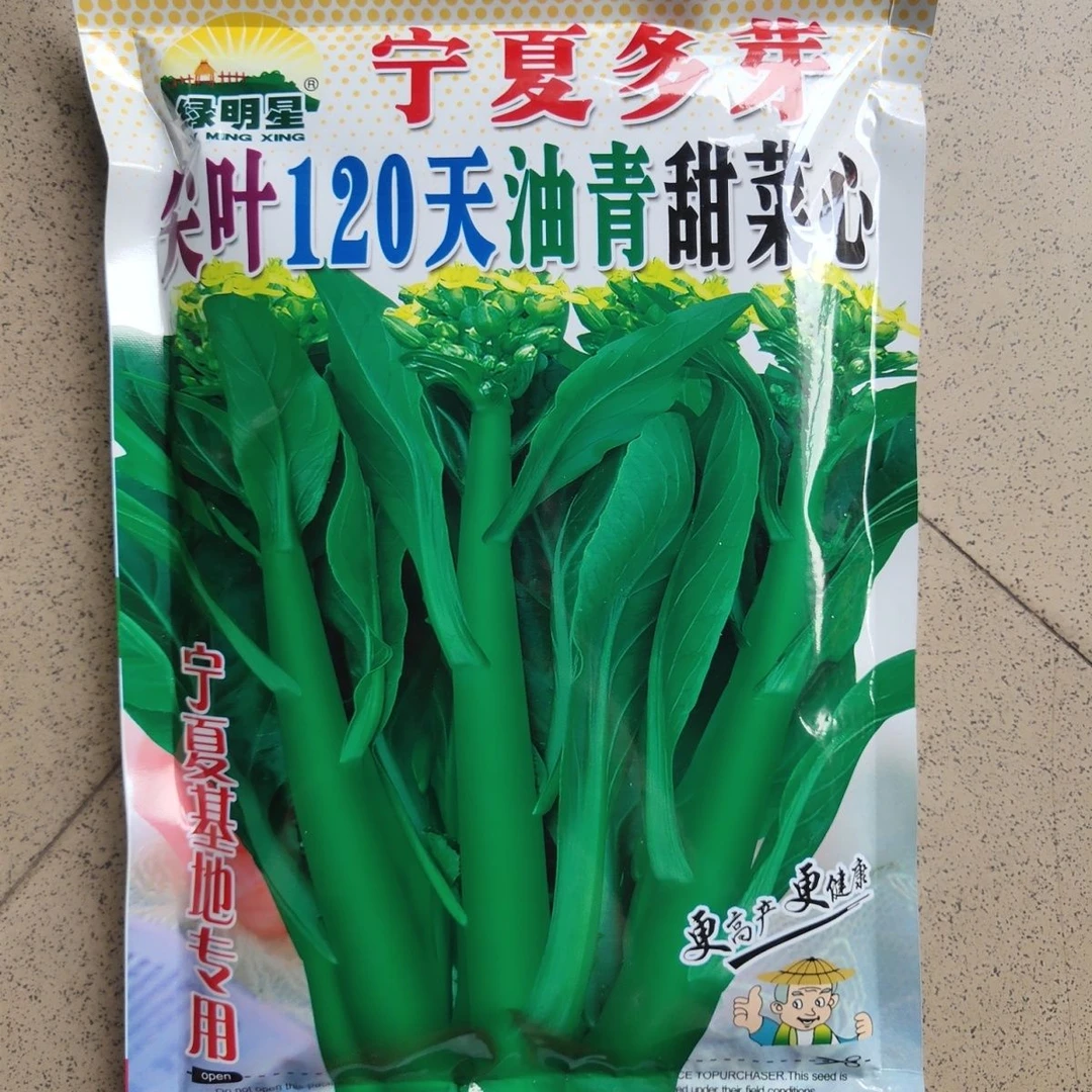 400克绿明星宁夏多芽尖叶120天油青甜菜心种子菜场专用种子