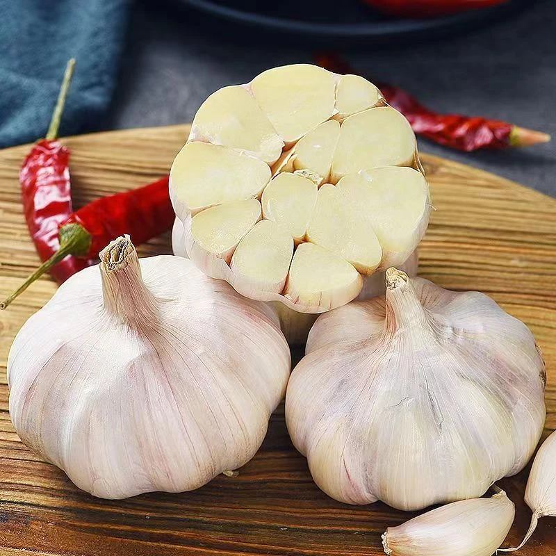 红豆树村里人的特产农家种植蔬菜葱姜蒜辣椒香料草果八角花椒