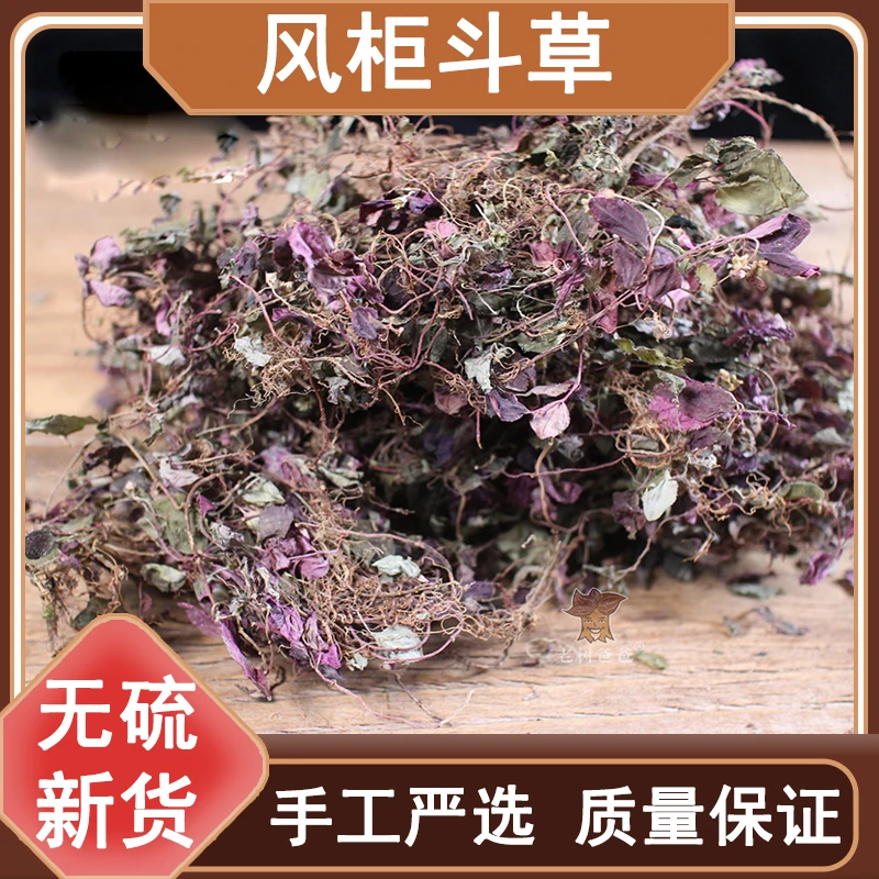 正宗野生风柜斗草干品福建风鼓草风谷草精选50克-250克另售葛根