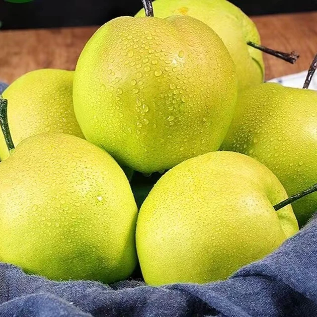 贵州威宁·玉露香梨