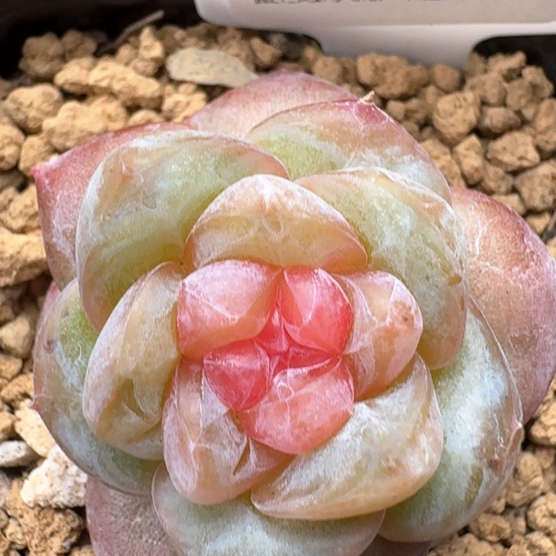 34 珍妮珍妮珍妮珍妮