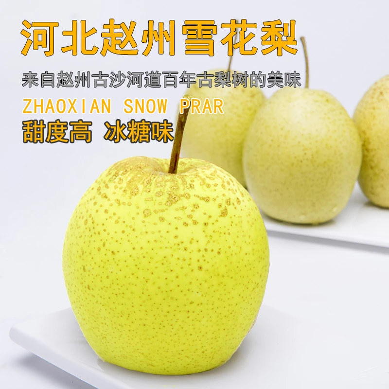 赵县雪花梨新鲜水果梨子河北特产雪梨赵州雪花梨