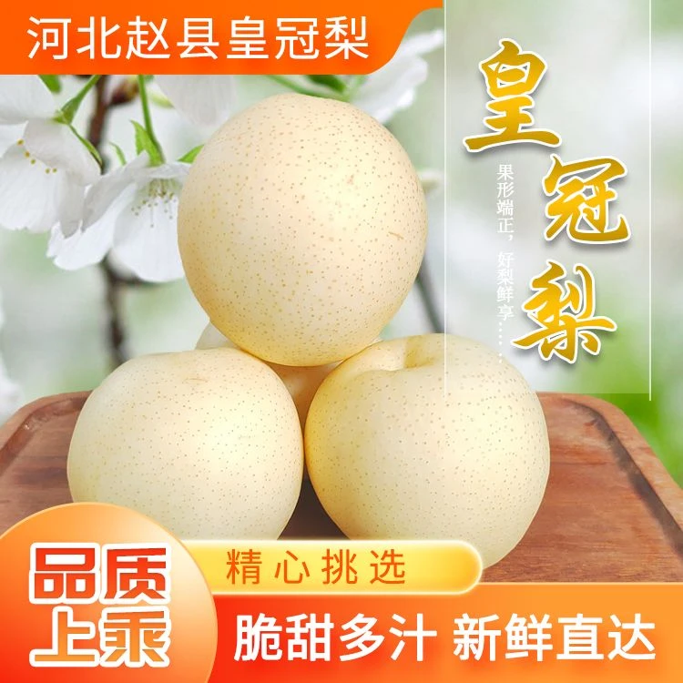 5斤品质河北赵县薄皮皇冠梨当季新鲜梨子泡沫托整箱白皮皇冠梨甜