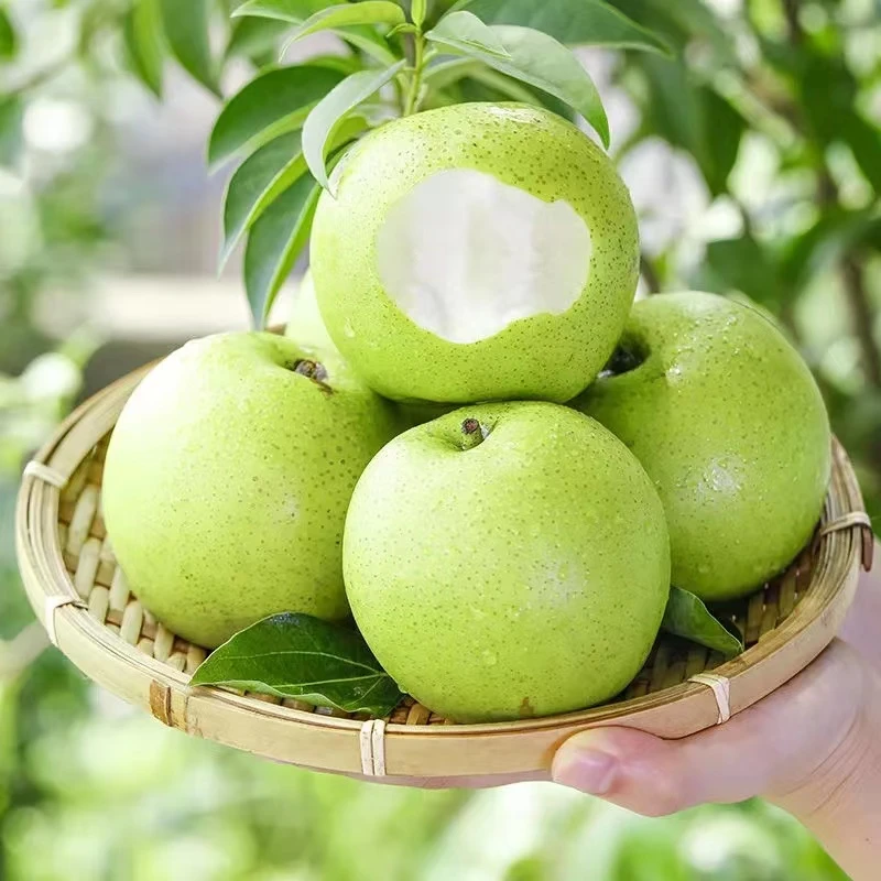河北皇冠梨新鲜水果梨当季水果批发整箱口感薄皮皇冠冰糖雪梨鸭梨
