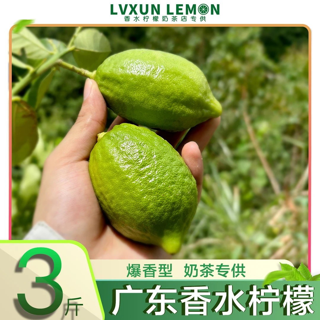 【绿寻】广东香水柠檬 清香型 奶茶店专用3斤 优质河源产区