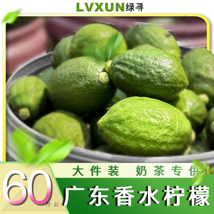 【绿寻大件专用】广东香水柠檬 清香型 奶茶店60斤装 优质河源产区
