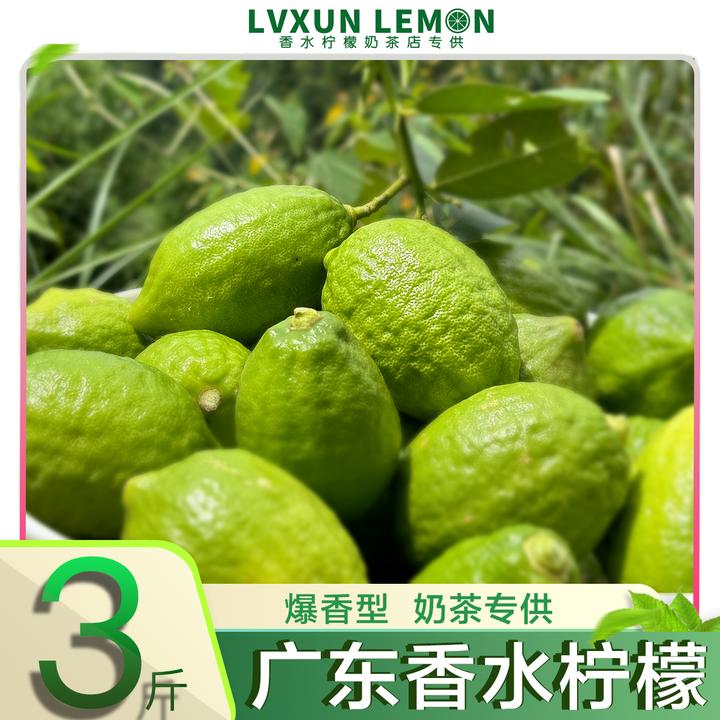 【绿寻】广东香水柠檬 清香型 奶茶店专用3斤 优质河源产区