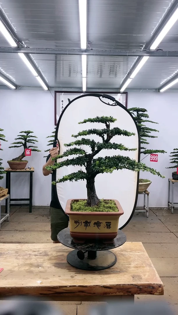 【闪购商品】000000