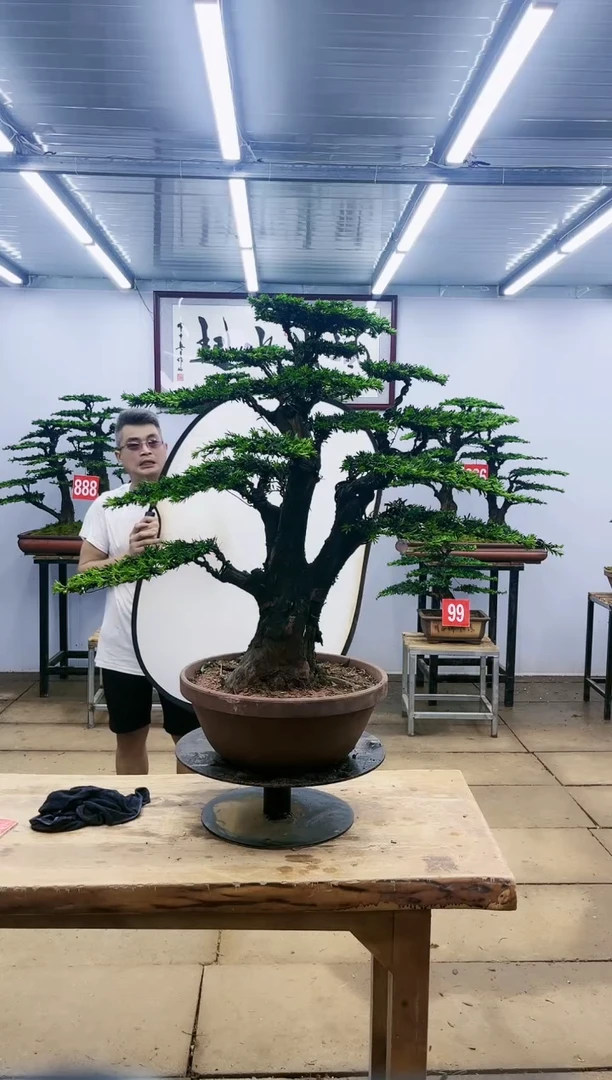 【闪购商品】000000