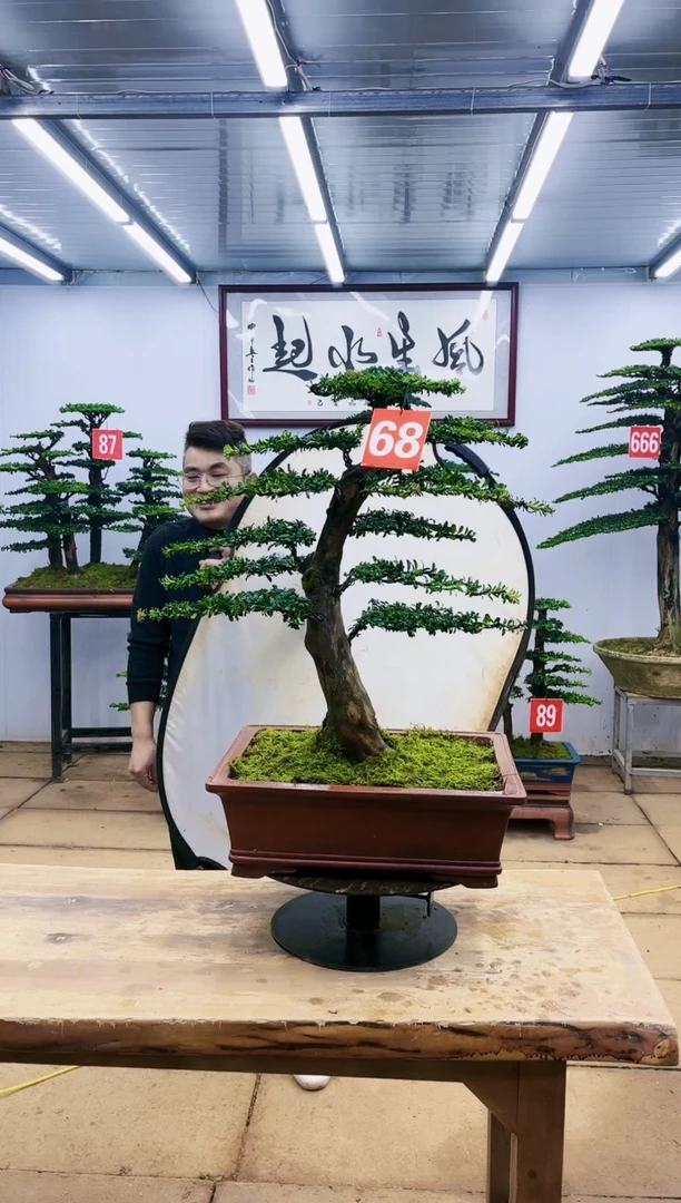 【闪购商品】一物一拍，所见即所得