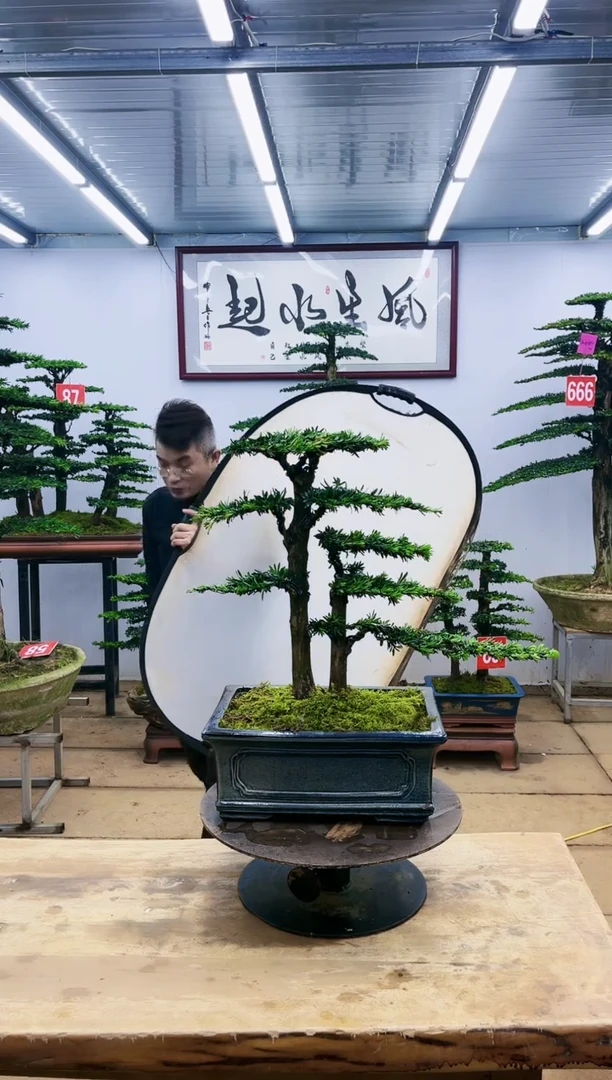 【闪购商品】一物一拍，所见即所得