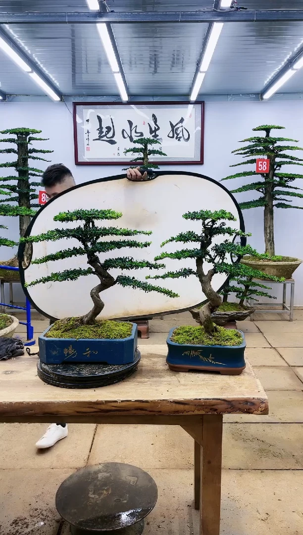 【闪购商品】一物一拍，所见即所得