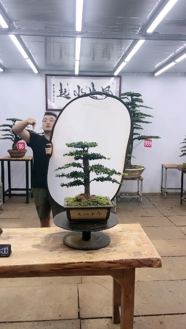 【闪购商品】00000
