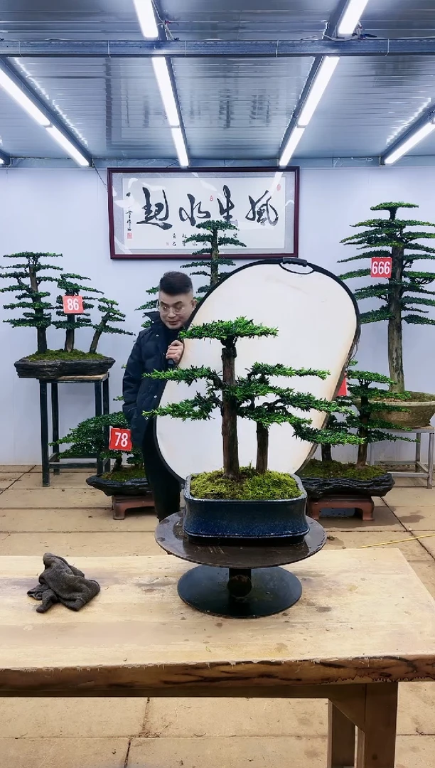 【闪购商品】一物一拍，所见即所得
