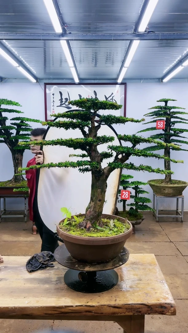 【闪购商品】一物一拍，所见即所得