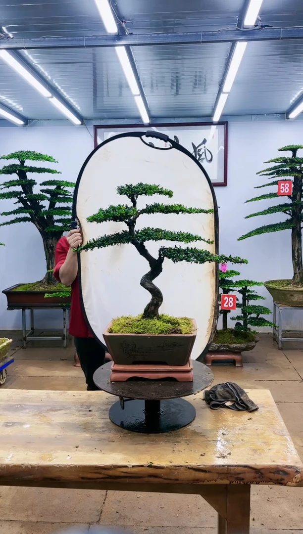 【闪购商品】一物一拍，所见即所得