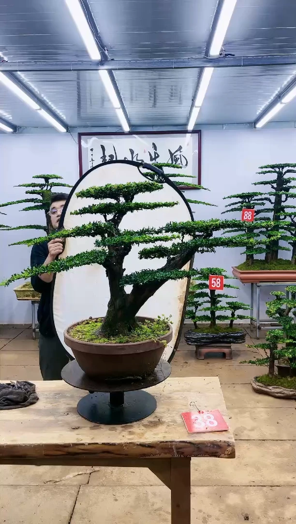 【闪购商品】00000