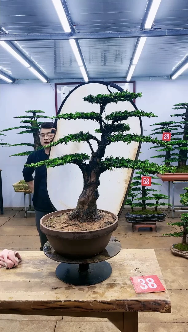 【闪购商品】000000