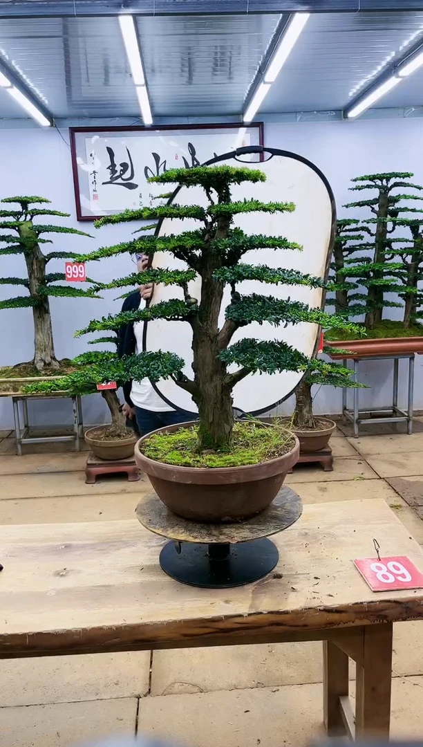 【闪购商品】00000