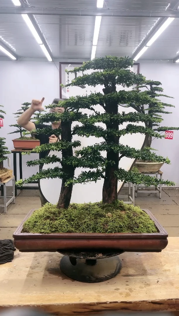 【闪购商品】00000