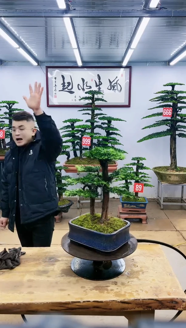 【闪购商品】一物一拍，所见即所得