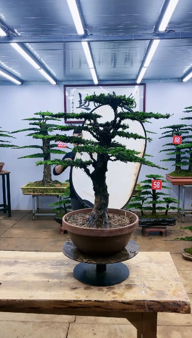 【闪购商品】00000