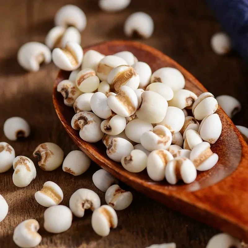 官方庄薏米仁百合干颗颗饱满搭配茯苓红豆煲汤养生汤