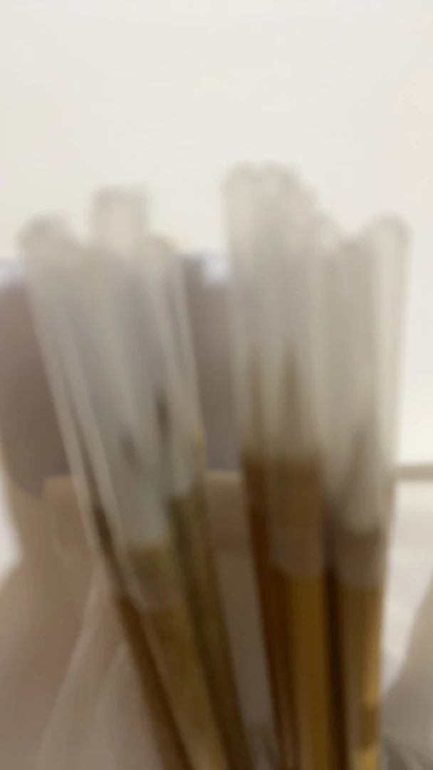 致远笔庄定制毛笔直播临时链接10