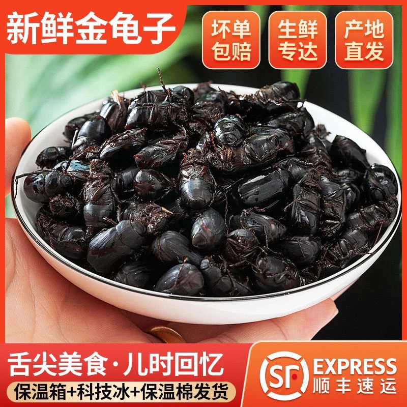 黑瞎闯活体速冻九香虫2025