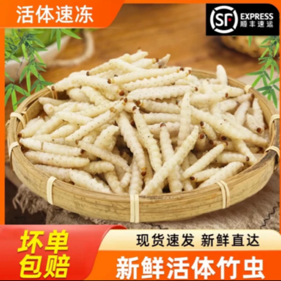2024新鲜活体速冻云南特产竹虫，竹蛹，竹节虫美食