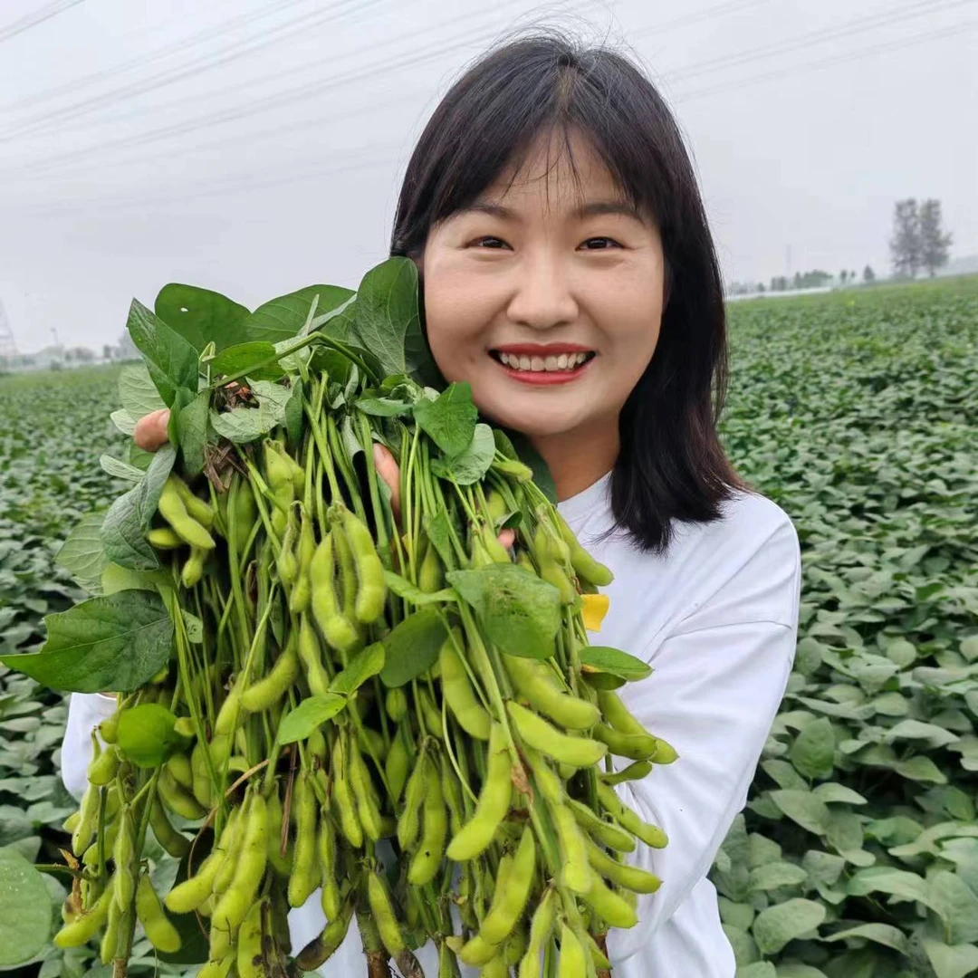 【顺丰包邮】新鲜毛豆现摘现发顺丰冷链坏烂包赔时令蔬菜应季青豆