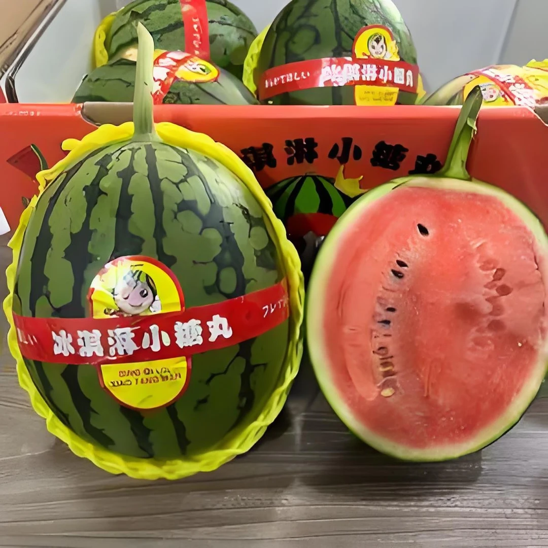 小糖丸西瓜一整个