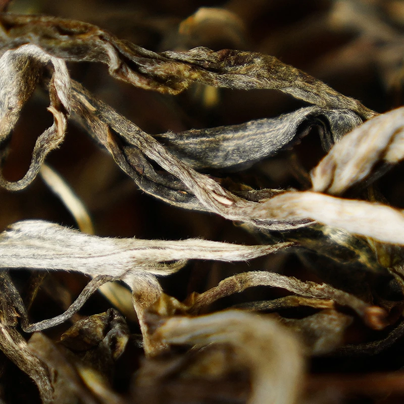 23年头春【薄荷塘一类】生茶龙珠  不支持退换