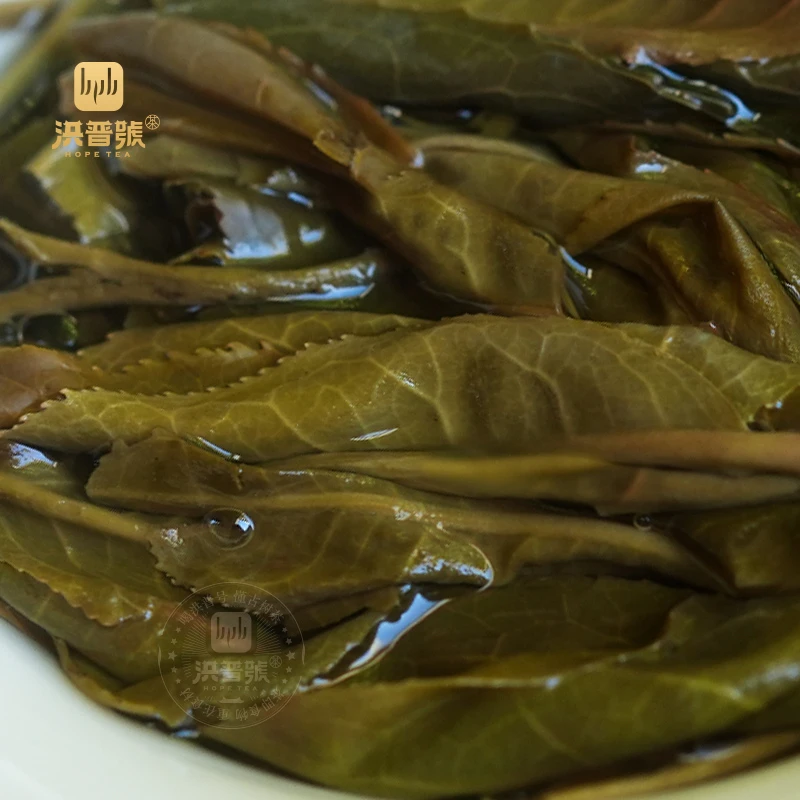 洪普号2019年蟒蛇箐茶王小片茶10片/罐