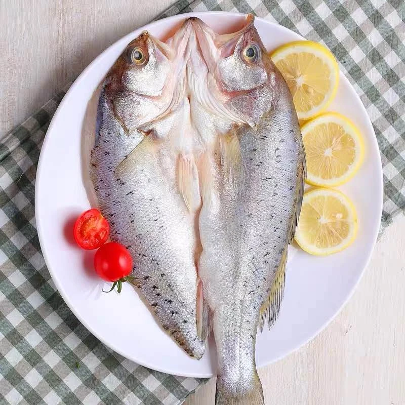 连云港发货新鲜美味开背处理海鲈鱼500-600g/条*5条