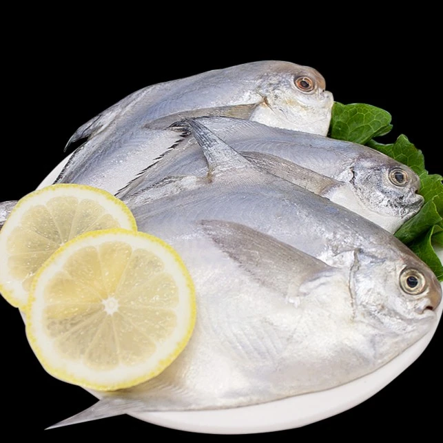 野生银鲳鱼 肉质细嫩 500克左右/包*7包  每包5条左右