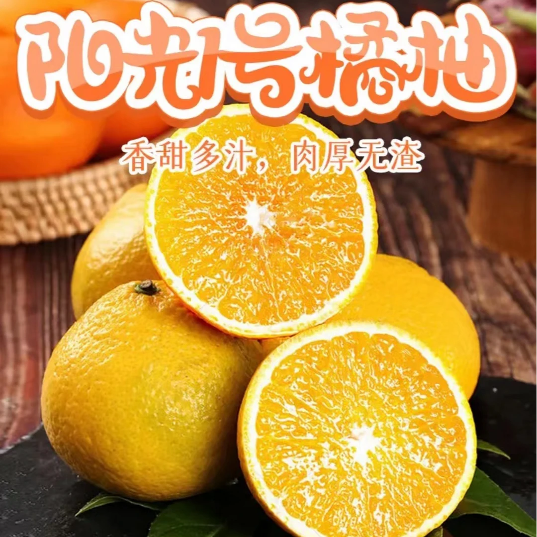阳光1号桔柚 5斤装 香甜爆汁新鲜皮薄无核甜蜜多汁