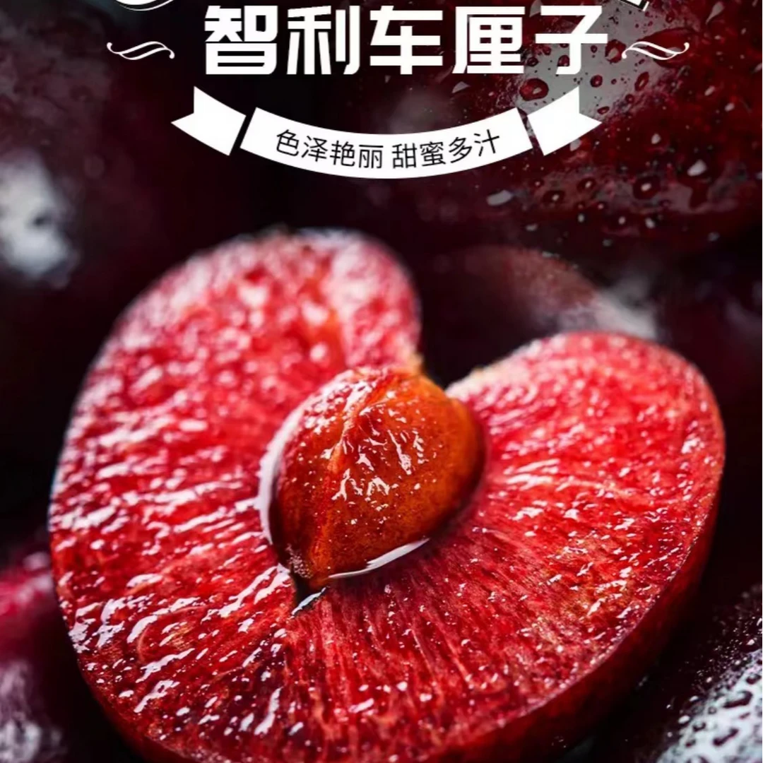 【顺丰空运】甄选智利进口桑提娜车厘子2J-3J脆甜肉厚多汁 假一赔十