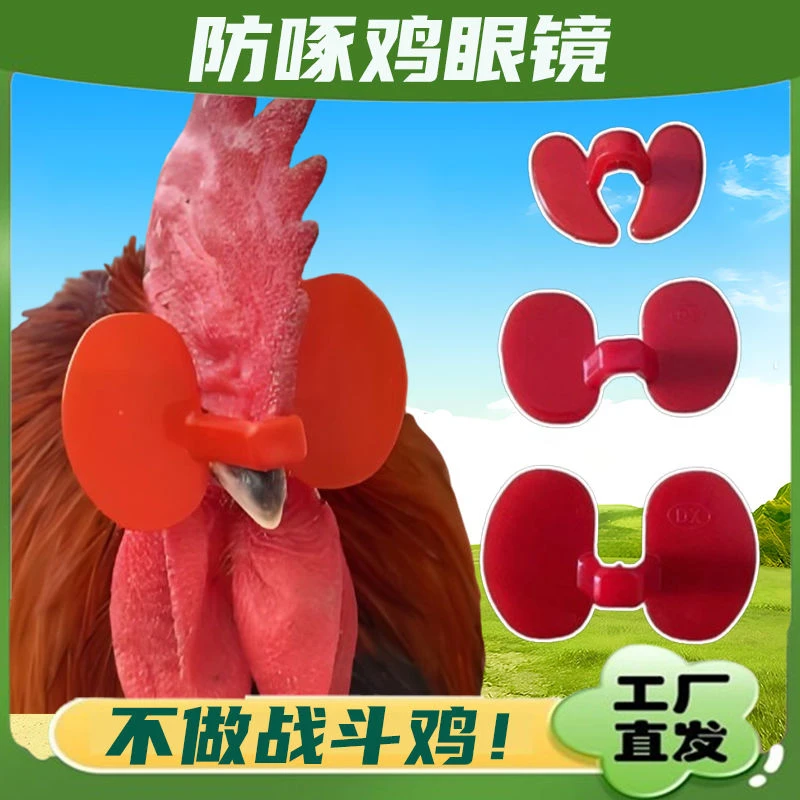 鸡加大养殖无栓方便防打架防啄毛防啄肛大公鸡卡式鸡适用养鸡产品