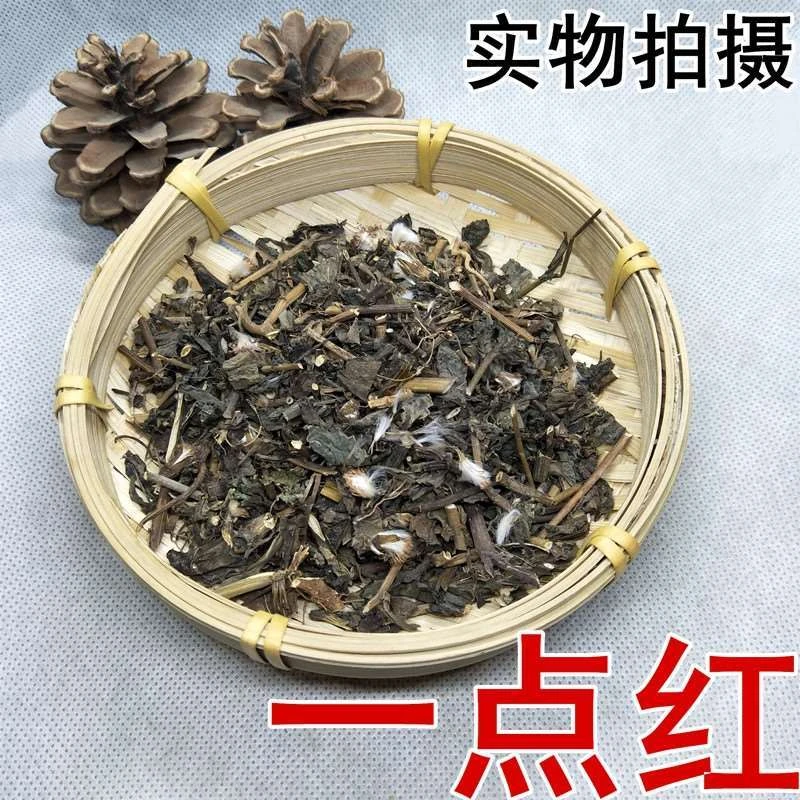 广西深山采摘一点红干货特产野生一点红农产品叶下红羊蹄草包邮