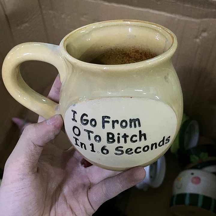 【闪购商品】摆件    微瑕。