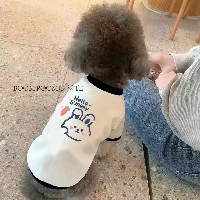 ins风狗狗猫咪宠物衣服背心薄款春夏款泰迪柯基比熊中小型犬幼犬