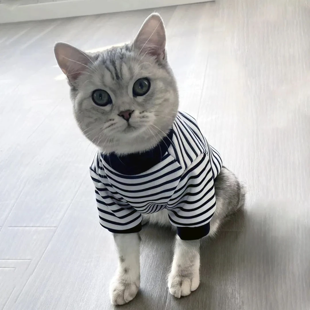 款式猫咪衣服夏季狗狗衣服可爱布偶猫防掉毛春夏衣服蓝白薄款帅气