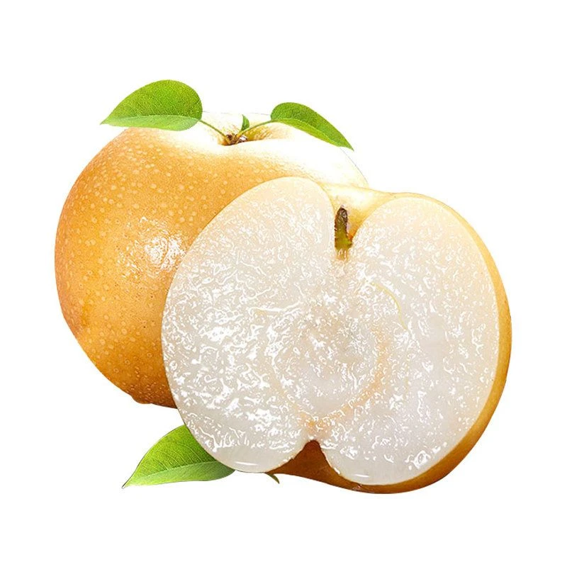 《丹选》秋月梨 7斤左右 发9粒 礼盒 产地莱阳 顺丰包邮